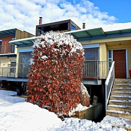 Apartment Franko Radovljica Bagian luar foto